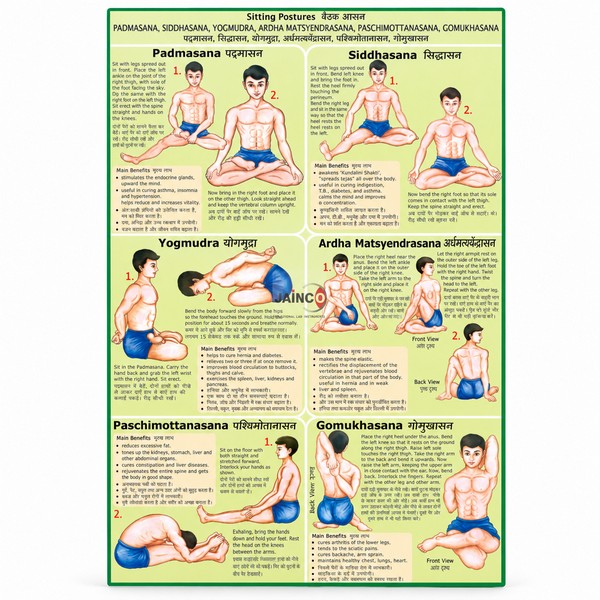 Paschimottanasana and Ardha Matsyendrasana Chart